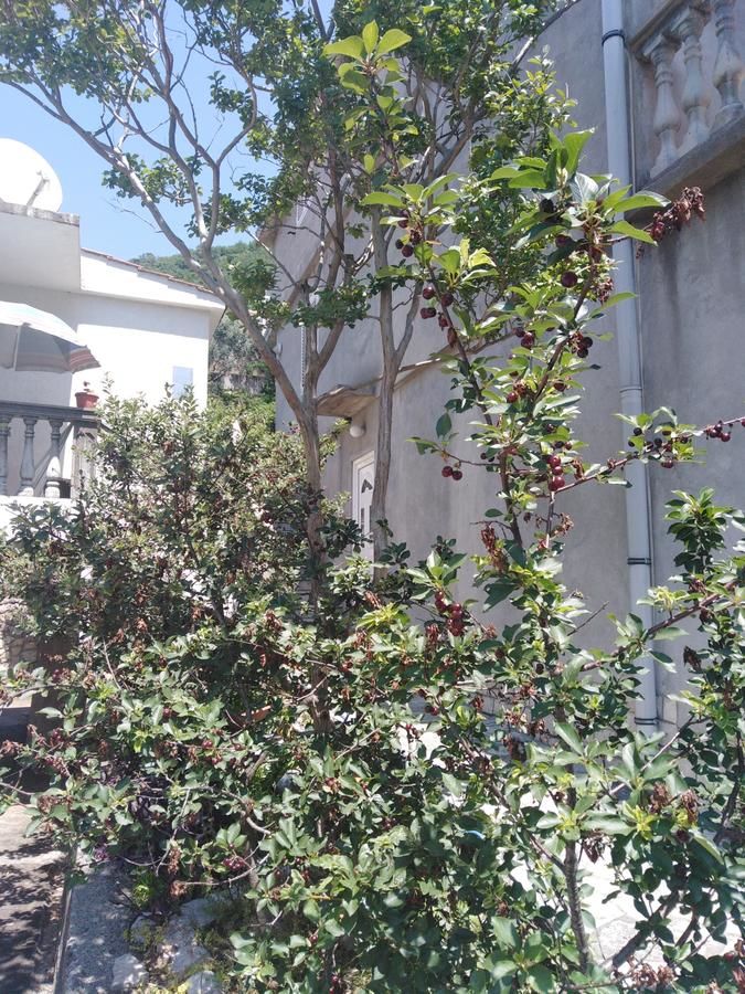 Апартаменты Apartments Mrvaljevic Петровац-37