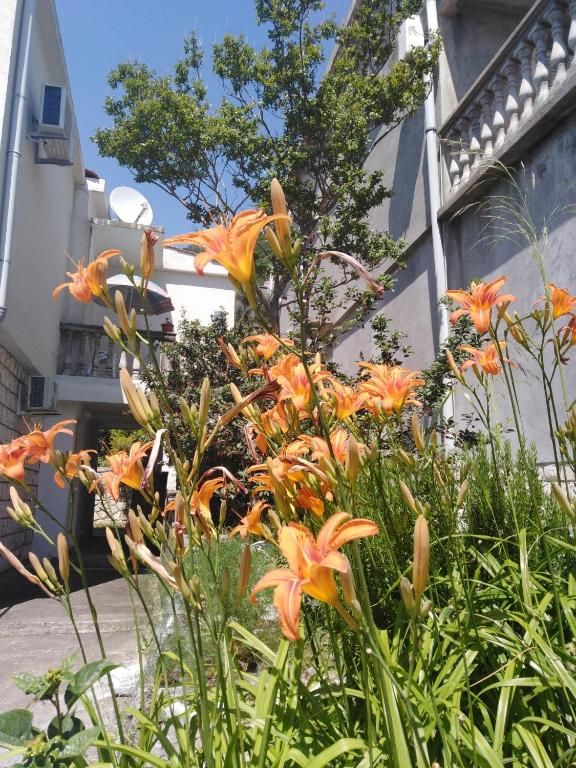 Апартаменты Apartments Mrvaljevic Петровац