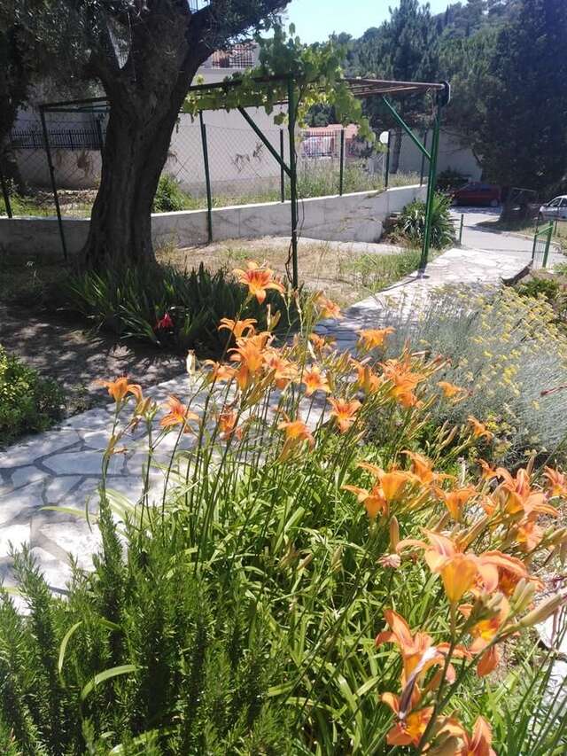 Апартаменты Apartments Mrvaljevic Петровац-34